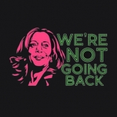 Kamala Harris We’re Not Going Back Aka Colors Voting Screen printing Vinyl 30pcs