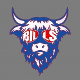 Buffalo Football  Design Screen printing Vinyl 30pcs