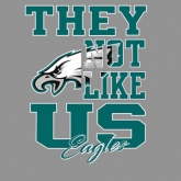 They not like us Philadelphia Eagles Champions Design Screen printing Vinyl 30pcs