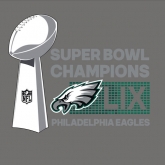 Philadelphia Eagles Grey 2024 Super Bowl Champions Design Screen printing Vinyl 30pcs