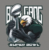 Eagles Super Bowl LIX Champions Design Screen printing Vinyl 30pcs