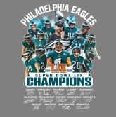 Eagles Super Champions Design Screen printing Vinyl 30pcs