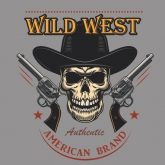 Wild West Skull Design Screen printing Vinyl 30pcs